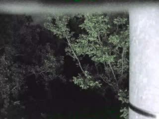 Webcam preview
