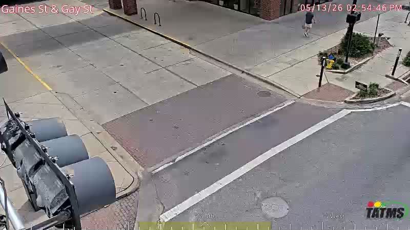 Webcam preview