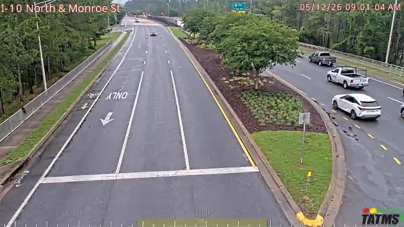 Webcam preview