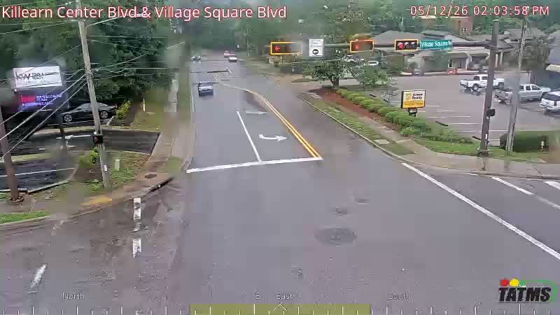 Webcam preview