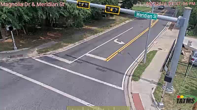 Webcam preview