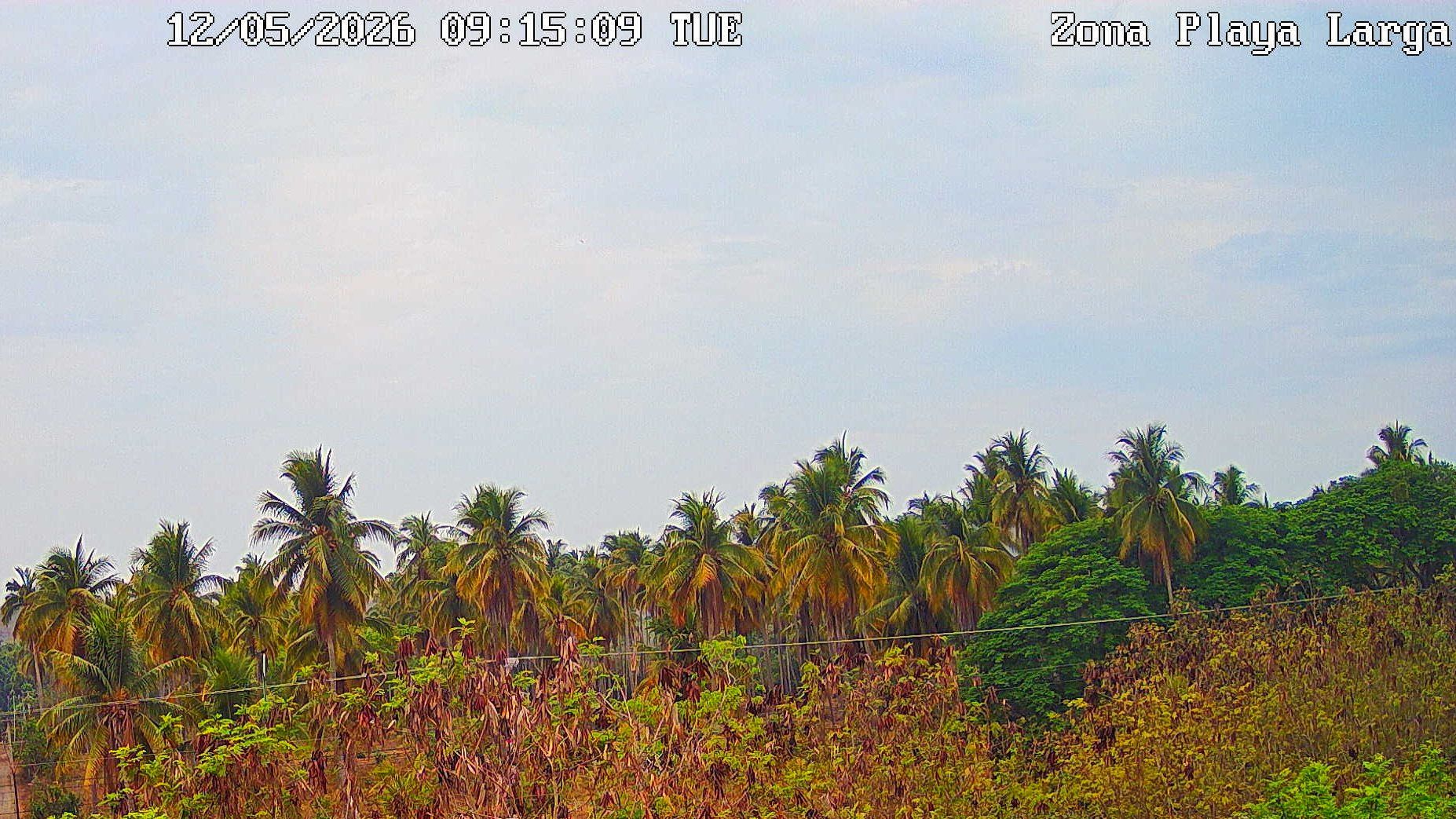 Webcam preview