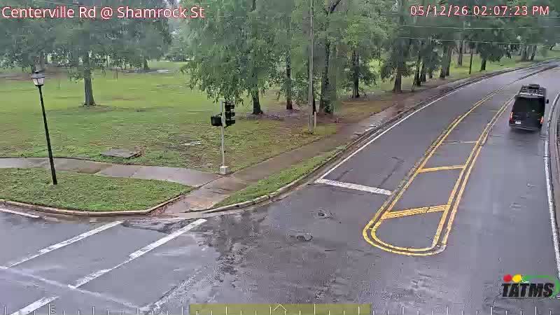 Webcam preview