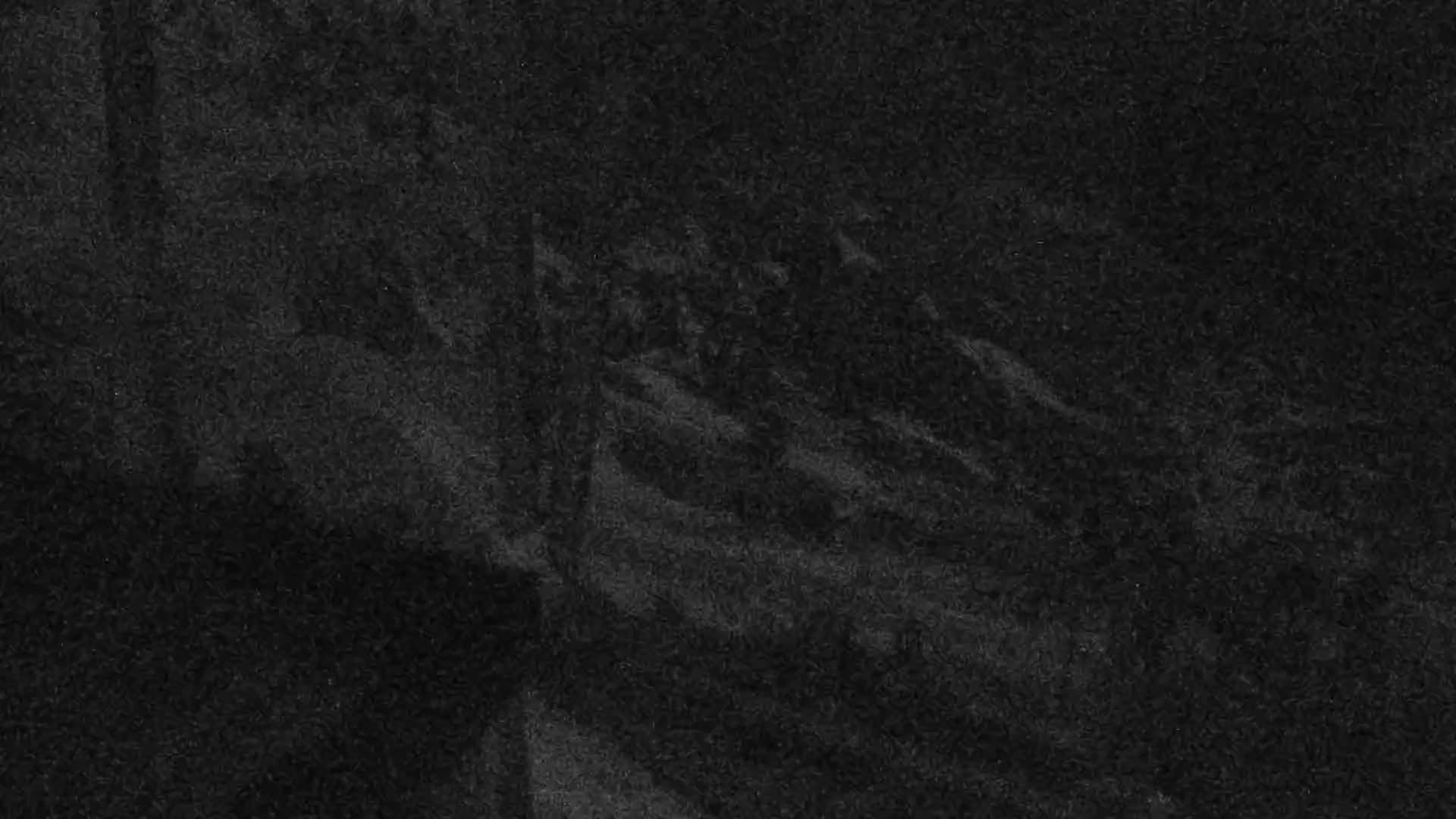 Webcam preview