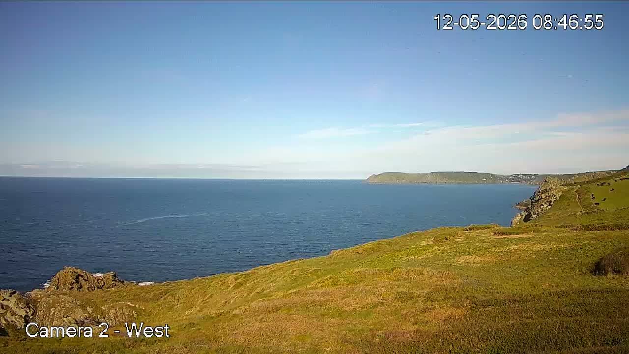 Webcam preview
