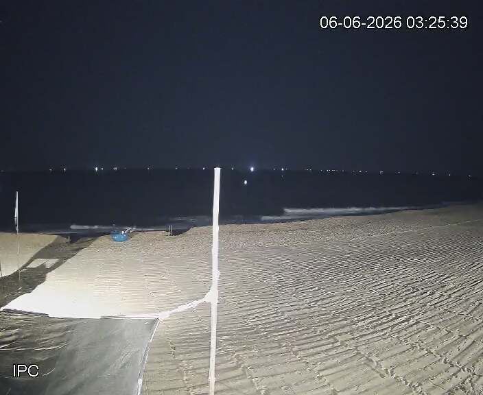Webcam preview