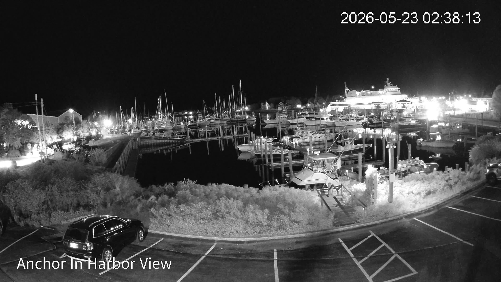 Webcam preview