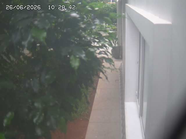 Webcam preview