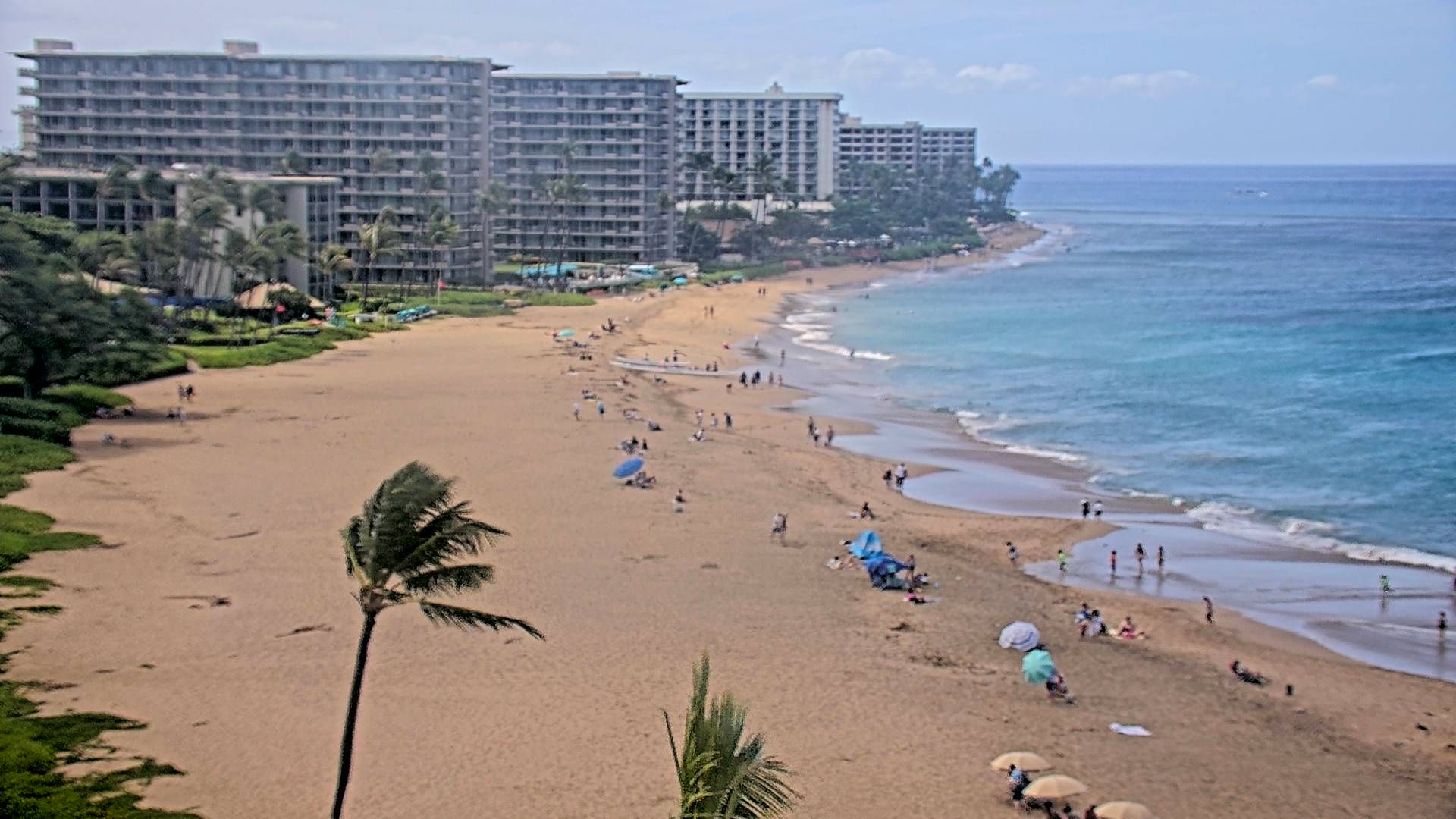 Sheraton Maui