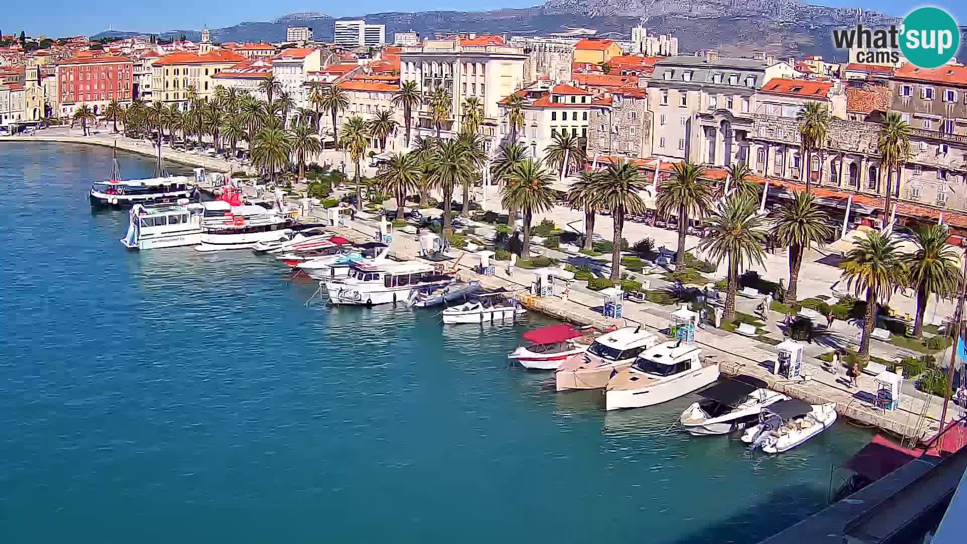 Split