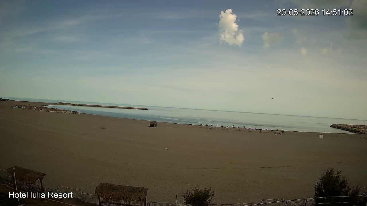 Camera live Venus