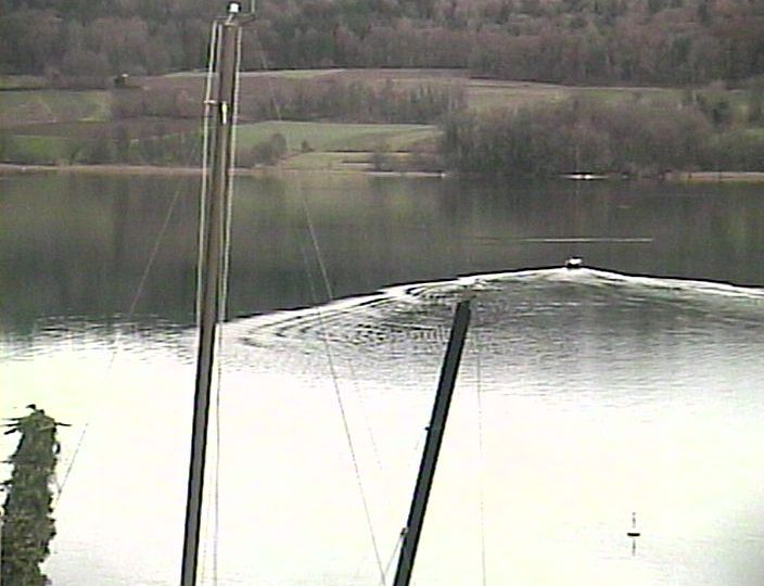 Beinwil am See: Hallwilersee Ost 2