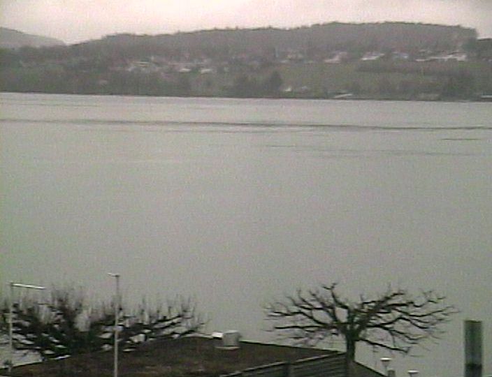 Beinwil am See: Hallwilersee Ost 1