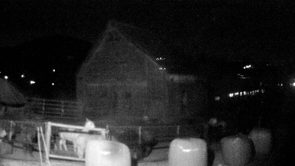 Nesslau: Stein: Toggenburg Alpakas