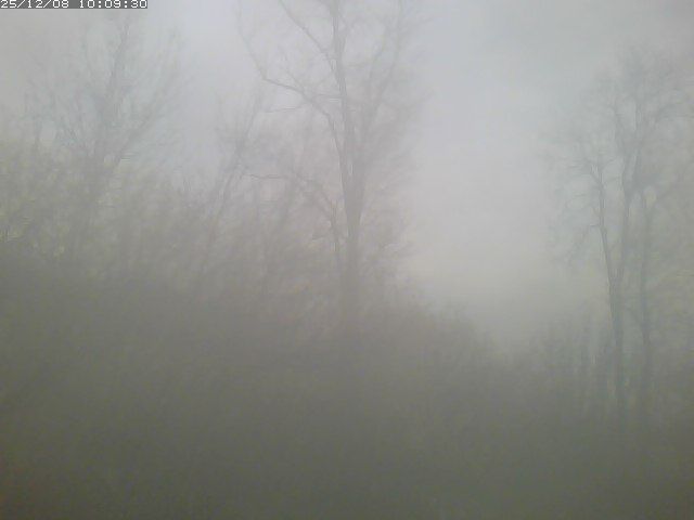 Wohlen bei Bern › North: Ittigen