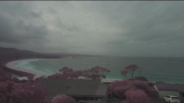 Stieglitz: Bay of Fires
