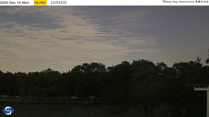 Yeung Uk San Tsuen: Wetland Park