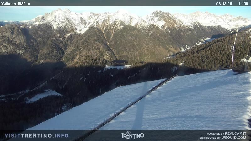 Bellamonte: Lusia intermedia