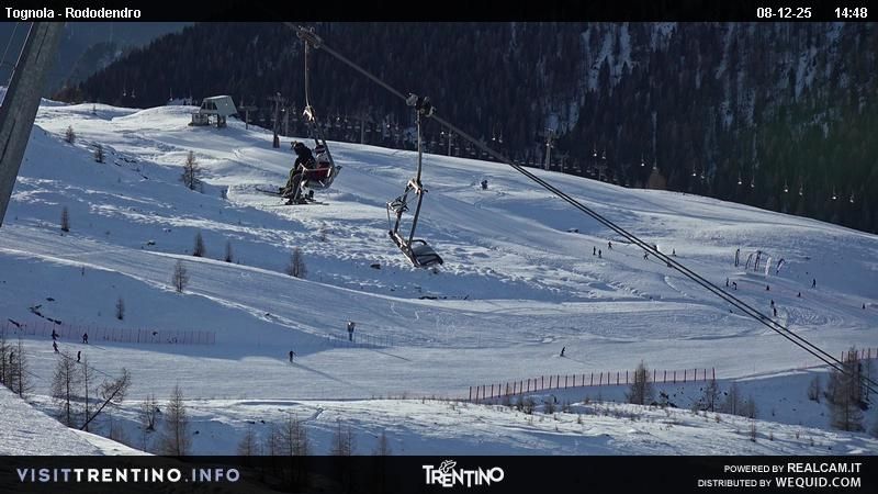 Primiero San Martino di Castrozza: Tognola