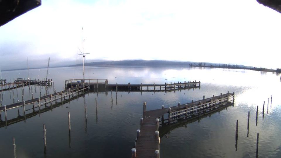 Дисен-ам-Аммерзе