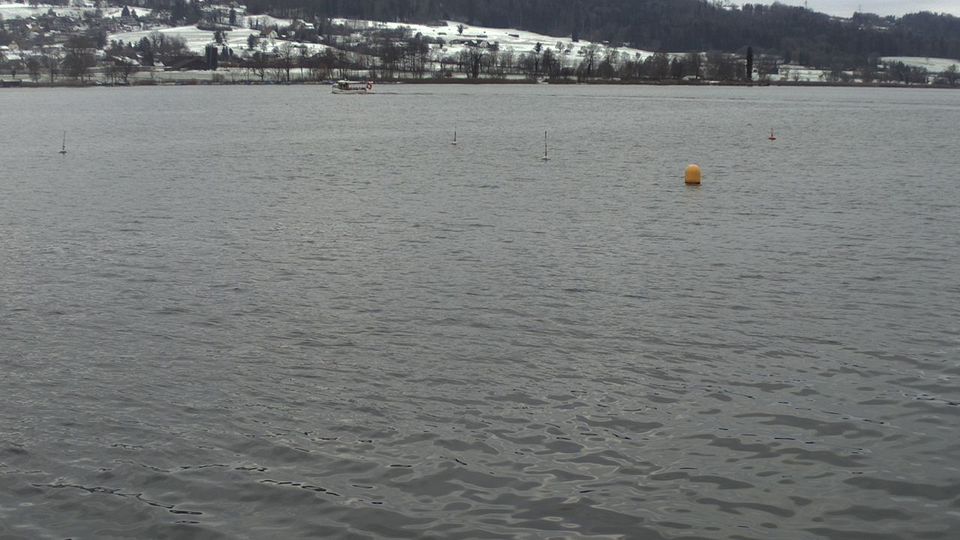 Greifensee