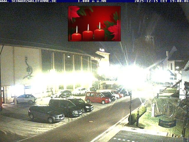 Schonwald im Schwarzwald: Schwarzwaldtanne in Schönwald