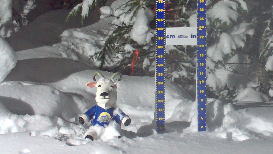 Banff: Sunshine Village Mountain Cam 4