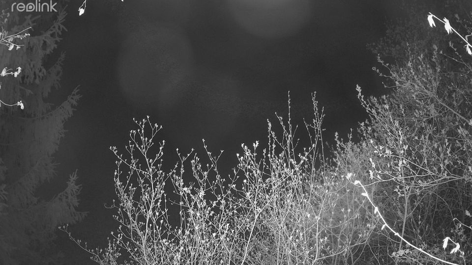 Undingen: Skilift Genkingen