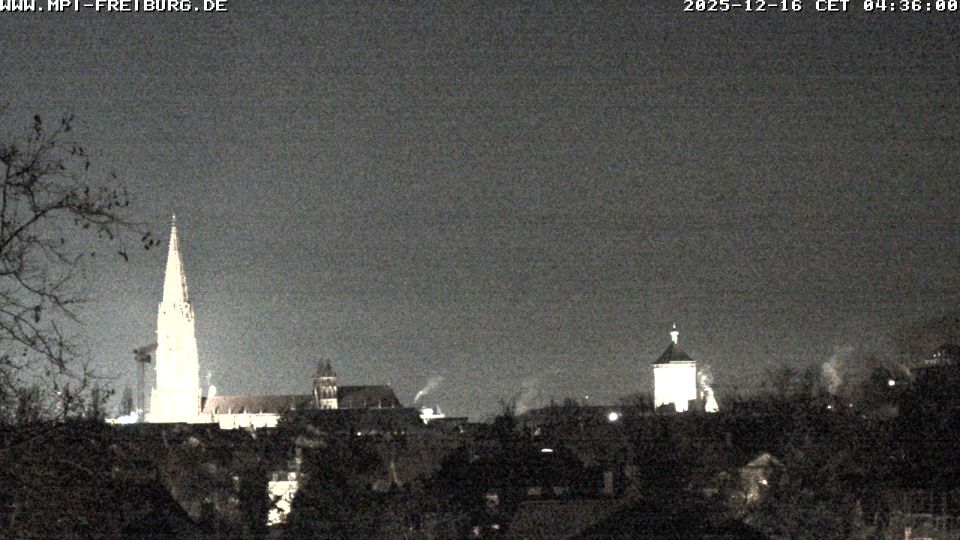 Sexau: Sternwaldeck 1, Max-Planck-Institut