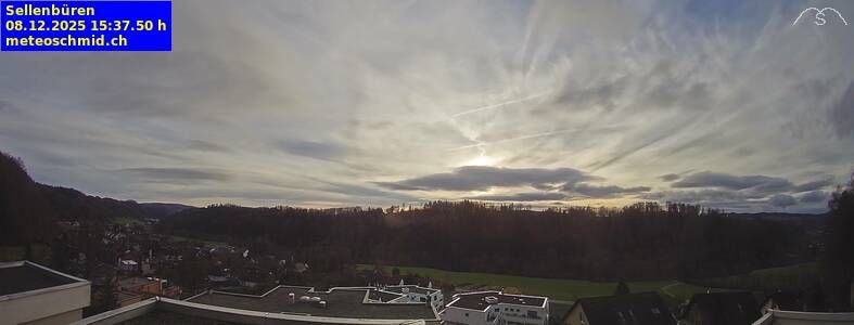 Stallikon › North: Sellenbüren