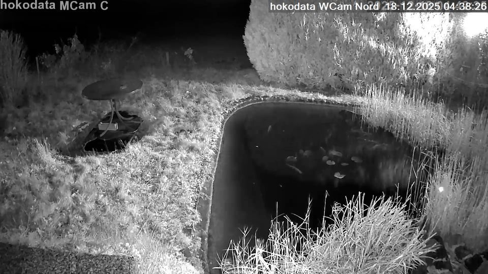 Langelsheim: Wolfshagen - Nordblick