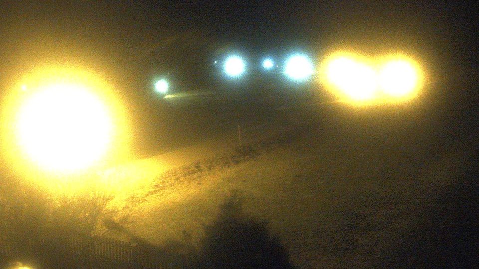 Hinterzarten: Ferienhaus Carola