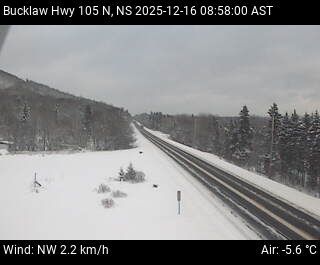 St. Patricks Channel: Bucklaw Webcam