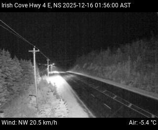 Mount Auburn: Irish Cove Cam