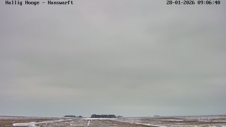 Hallig Hooge: Hanswarft