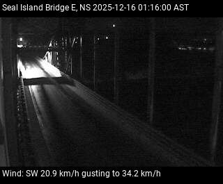 New Dominion: Seal Island Bridge