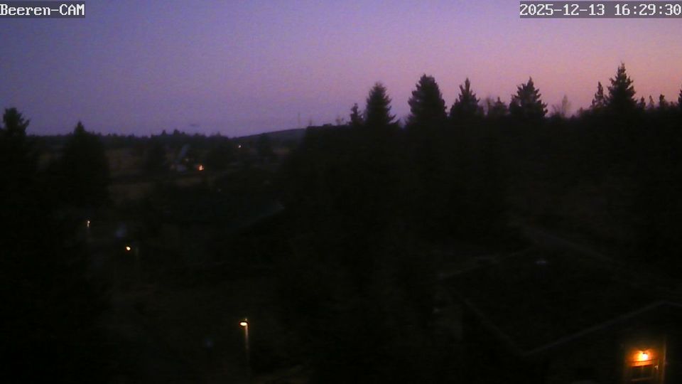 Altenberg: Zinnwald - Georgenfelds Webcam