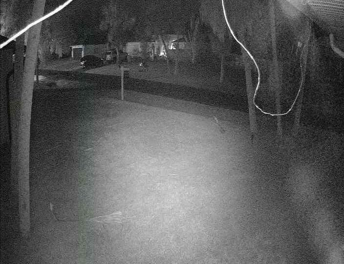 Venice: South - Webcam