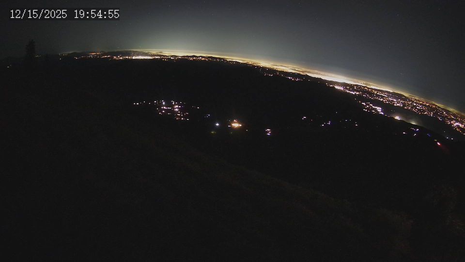 La Jolla Amago: San Diego County