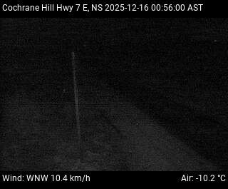 Aspen: Cochrane Hill Cam