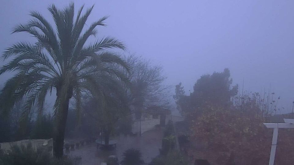 Benillup: Montcabrer - Serra de Mariola - Parc Natural de la Serra de Mariola