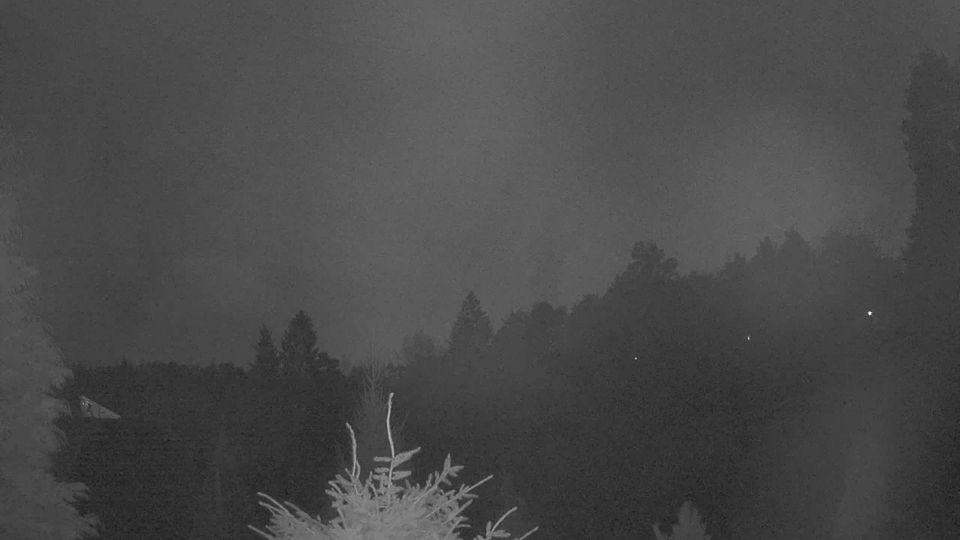 Eydehavn: Breivik - Arendal