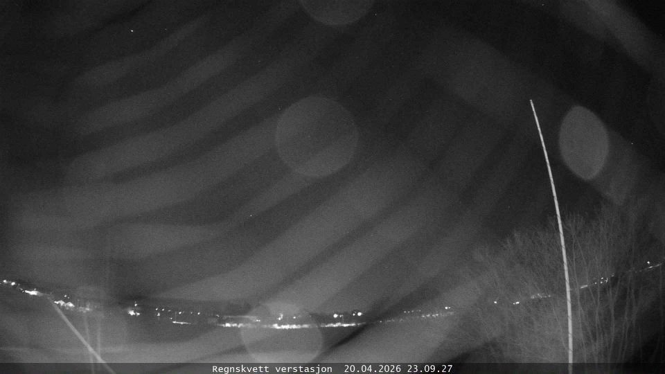 Rygg: Randaberg Ryggleet