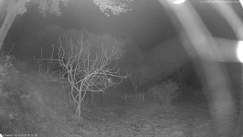 Municipal Unit of Kalavryta: κ. Κάτω Βλασίας: Katw Vlasia Webcam - Mount Kallifoni