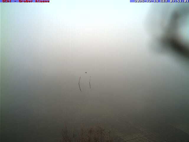 Buhl a.Alpsee: Großer Alpsee