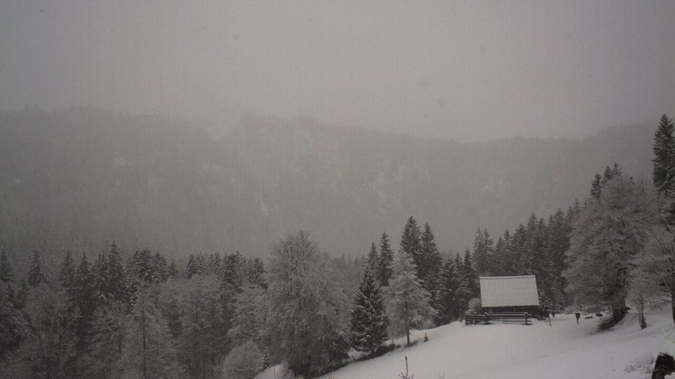 Feldberg: Gasthaus Raimartihof am