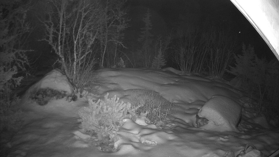 Fla: Damtjernhallin, Flå