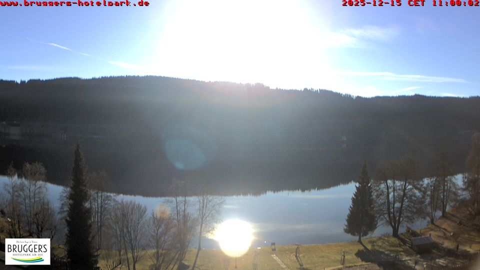 Titisee: Webcam Brugger's Hotelpark am See