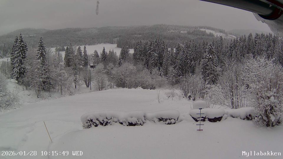 Lien: Myllabakken 20