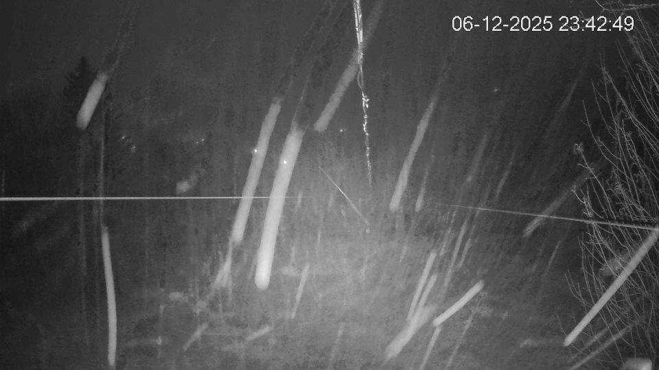 Spindleruv Mlyn: Stráň Čistá voda - Přední Labská